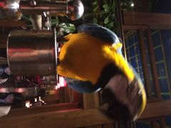 iphone_upload_pic-那家小馆•北京菜•烤鸭(中关村店)