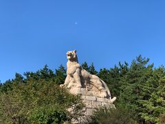 -帽儿山国家森林公园