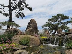 -罗红摄影艺术馆