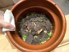 黑松露季-晴空·日本料理(万象城店)