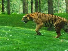 -北京野生动物园