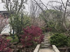 -雨花胜境
