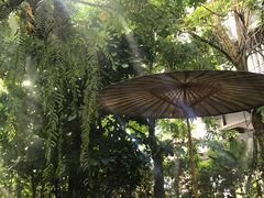 -Fern Forest Cafe