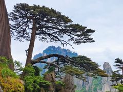 -黄山风景区