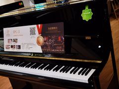 -柏斯音乐艺术中心·钢琴·吉他(上音店)