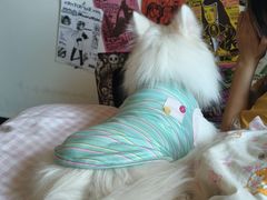 -pd派德宠物中心医院24H急重症·眼科中心·血液透析中心(嵩山北路店)