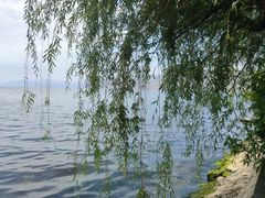 -大理洱海