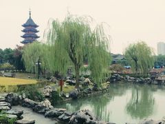 iphone_upload_pic-苏州吴宫泛太平洋酒店