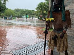 -呀诺达热带雨林