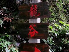 -夏霖九天银瀑风景区