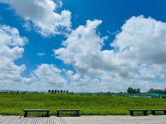 -盐城丹顶鹤湿地生态旅游区