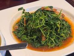 清炒金花菜-松鹤楼(山塘街店)