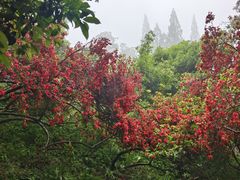 -莫干山风景区