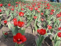 -长春公园(普阳街道)