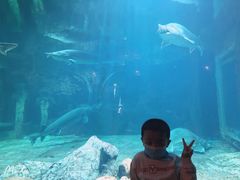 -华夏文旅海洋公园