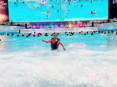 -海合安成都极地海洋公园