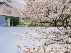 -阳澄湖费尔蒙酒店颐丰阁中餐厅(马鞍山西路店)