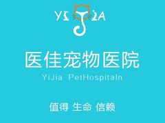 -萌兽医馆·宠物医院·猫骨科(创景店)