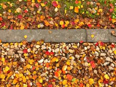 -同济大学(嘉定校区)