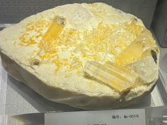 -湖南省地质博物馆