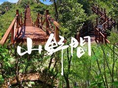 -大岭沟猕猴桃谷风景区