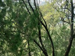 -泰山风景名胜区