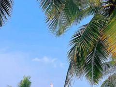 -三亚南山文化旅游区