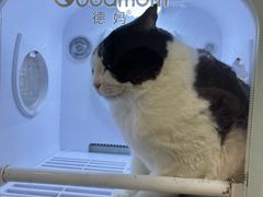 -悠尼宠物·独立低压伊珊娜洗护·美容·寄养(兰谷路店)