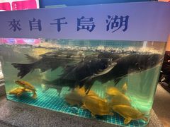 -鸽子侯·家宴·平价海鲜(市图书馆店)