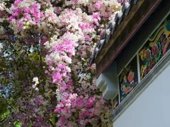 -深圳国际园林花卉博览园