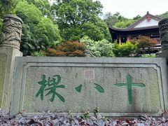 -十八棵（老龙井）御茶园(老龙井店)
