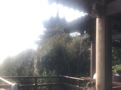 -杭州半山国家森林公园