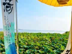 -七的湖·晚芳亭·阳澄湖农家菜·大闸蟹(莲花岛店)