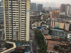 -喵园·猫主题咖啡厅·撸猫·猫咖(国贸店)