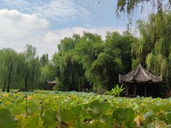 -老桂湖公园-杨升庵博物馆