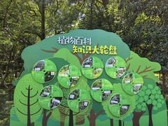 -上海佘山国家森林公园天马山园