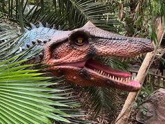 -呀路古热带植物园