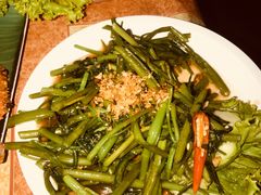 -Jungle Kitchen