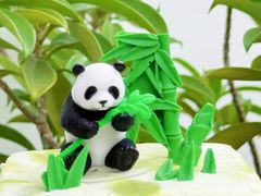 -壹点壹客·生日蛋糕(南山店)