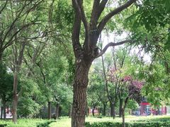 -杨柳青庄园