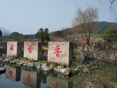 -香雪海
