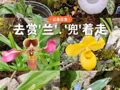 -国家植物园南园