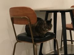 -PAUSE CAFE(南秀村店)