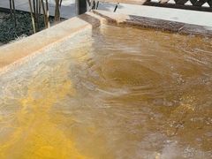 -春晖园度假酒店温泉