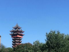 -塔子山公园