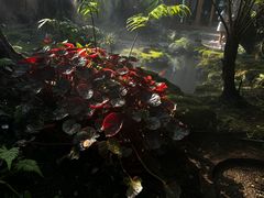 -Chom Cafe and Restaurant