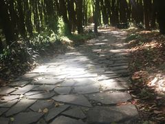 -同里国家湿地公园