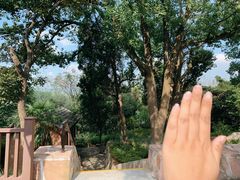 -上海市保健医疗中心