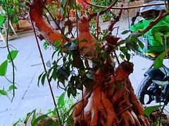 -西关84·History·Art·Cafe