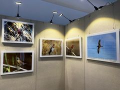 -大连市规划展示中心